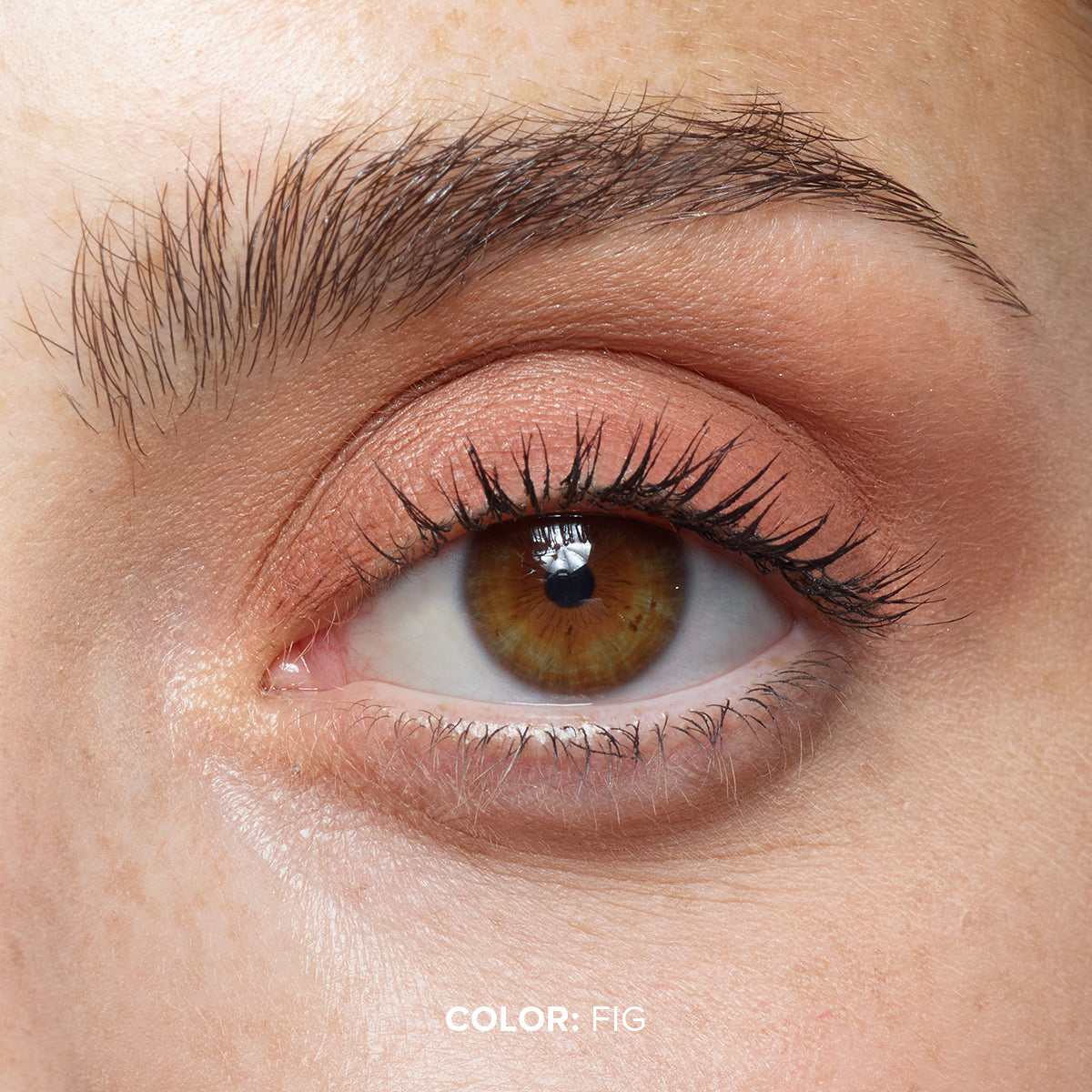 MAGNETIC MATTE EYE COLOR-MAGNETIC MATTE EYE COLOR - FIG