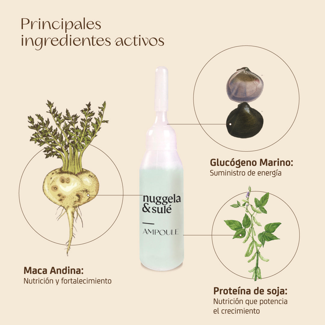 Pack Regenerador 8 Ampollas 10ml