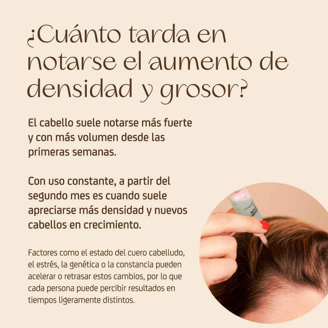 Pack Regenerador 8 Ampollas 10ml