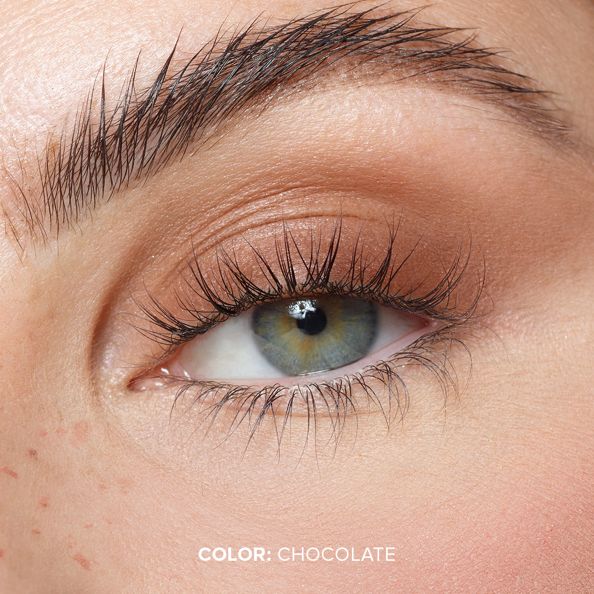 MAGNETIC MATTE EYE COLOR-MAGNETIC MATTE EYE COLOR - CHOCOLATE