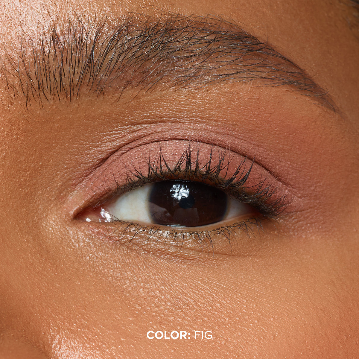 MAGNETIC MATTE EYE COLOR-MAGNETIC MATTE EYE COLOR - FIG