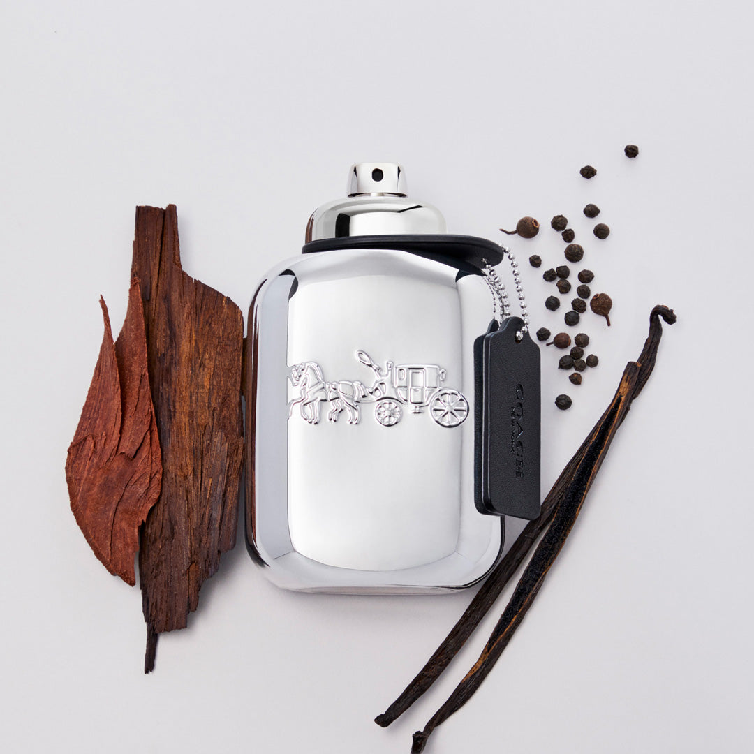 PLATINUM EDP - 100 ml