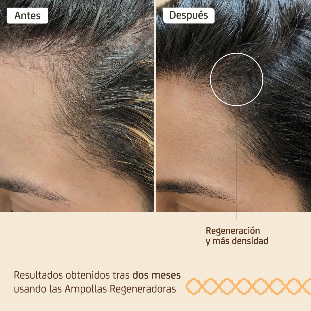 Pack Regenerador 8 Ampollas 10ml