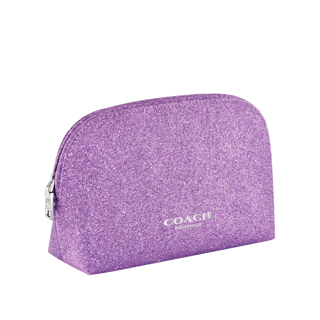 COACH GLITTER POUCH