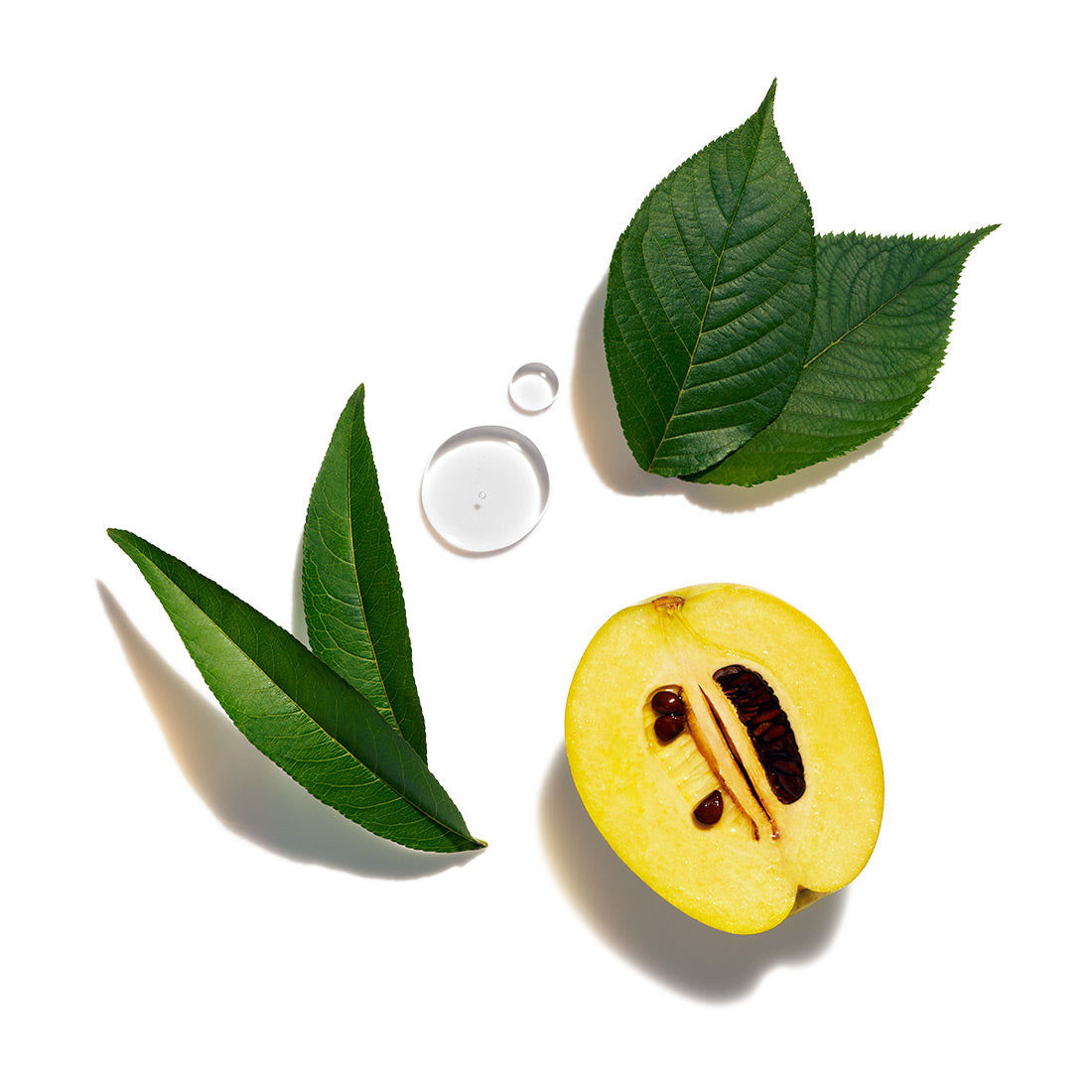 Future Solution LX Total Regenerating Cream