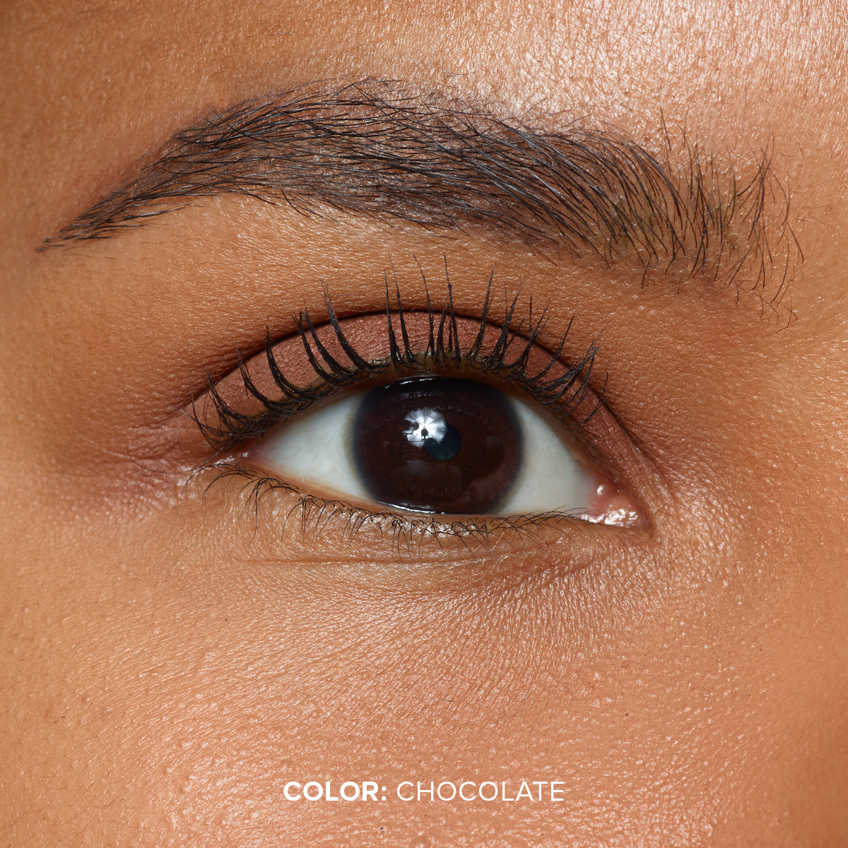 MAGNETIC MATTE EYE COLOR-MAGNETIC MATTE EYE COLOR - CHOCOLATE