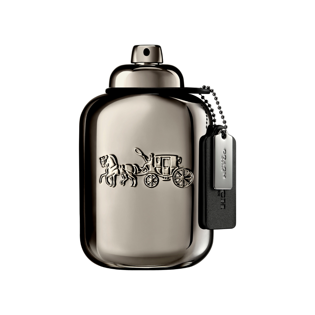 Coach Pure Platinum Parfum 100 ml