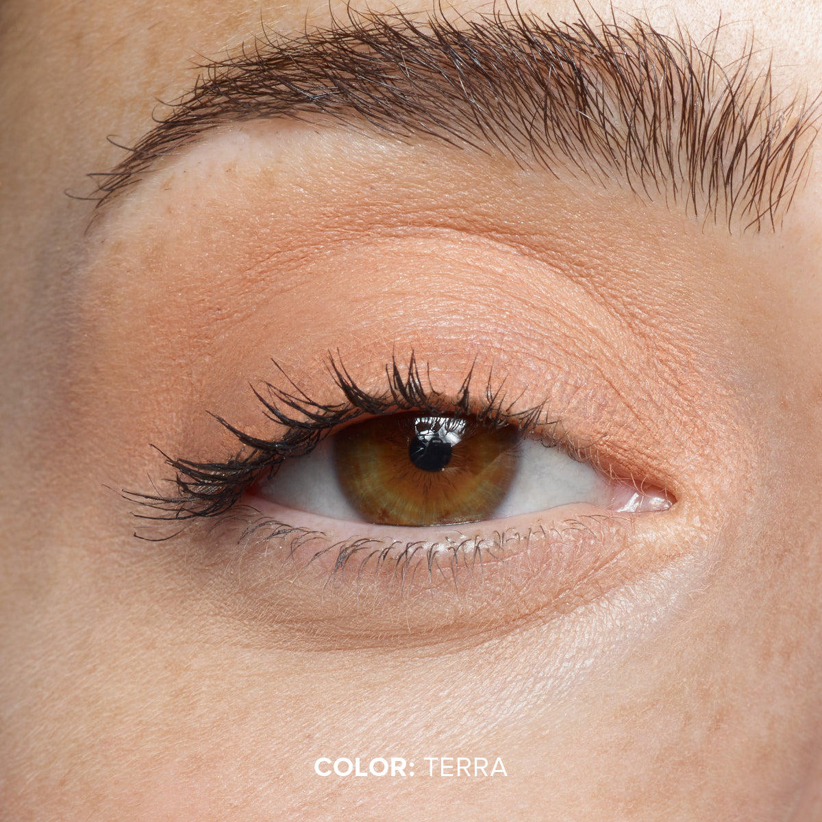 MAGNETIC MATTE EYE COLOR-MAGNETIC MATTE EYE COLOR - TERRA