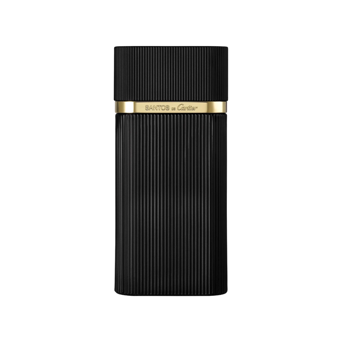 SANTOS EDT 100ML