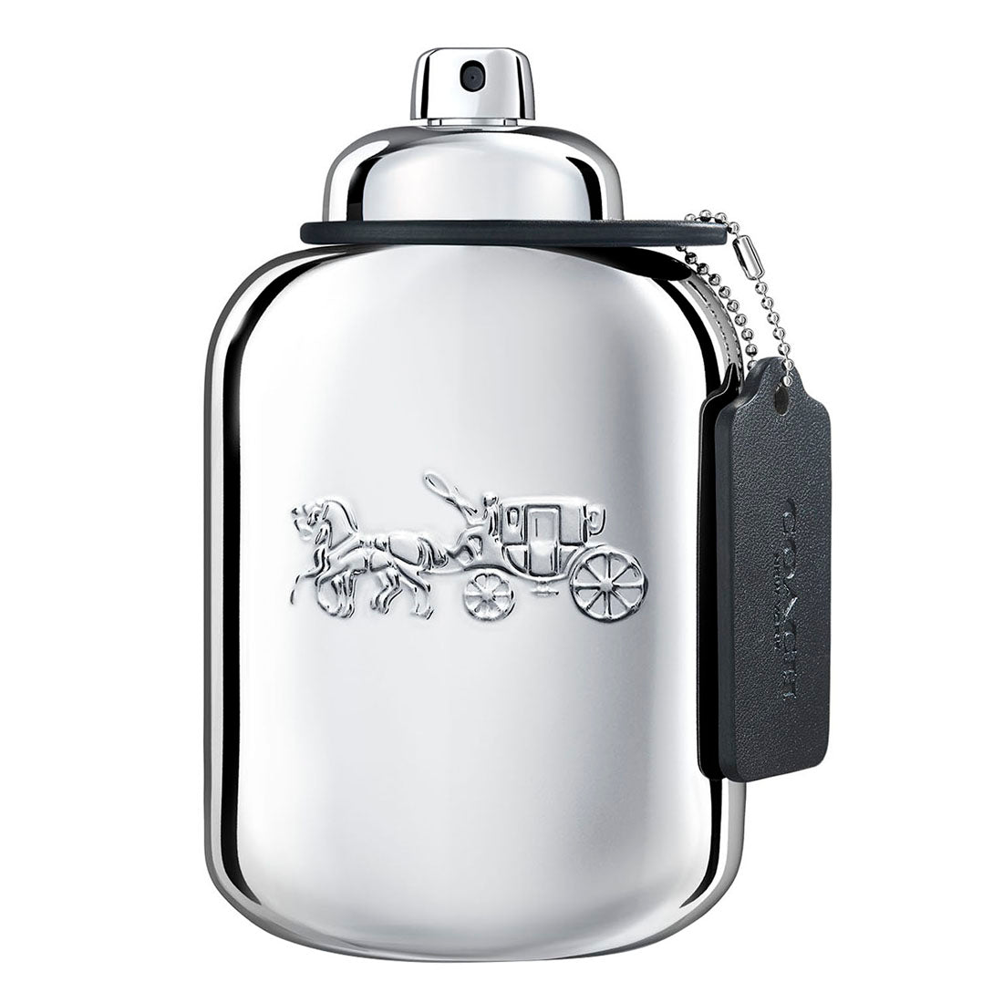 PLATINUM EDP - 100 ml